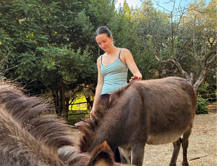 Girl petting donkeys.
