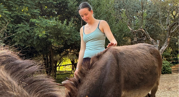 Girl petting donkeys.