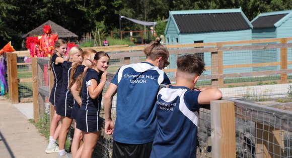 School children looking at pigs.