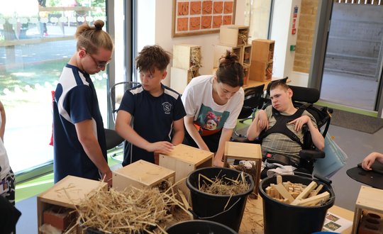 School children with Chailey pupils building bug hotels.