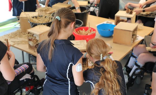 School girls building bug hotels.