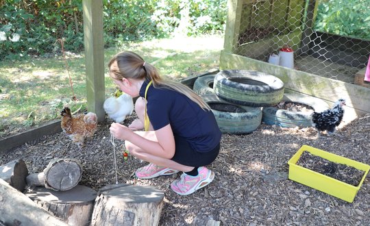Girl feeding a chicken.