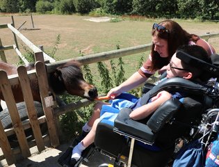 Boy feeding a pony a carrot.