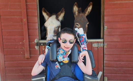 Young boy with sunglasses smiling with the donkeys.