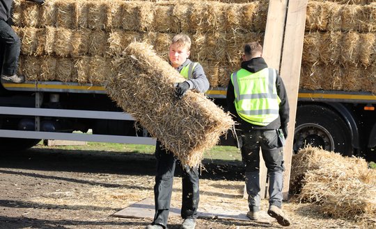Man carrying a bale of hay in front of a transport van filled with hay