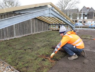 Grass beds being laid out on soil.