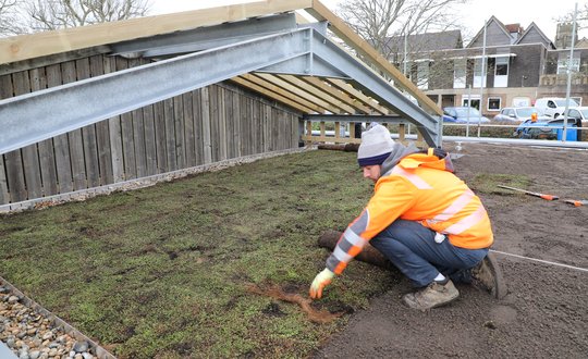 Grass beds being laid out on soil.