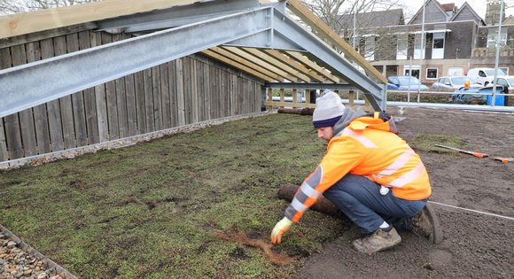 Grass beds being laid out on soil.