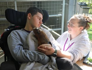 Sam and guinea pig in Farm