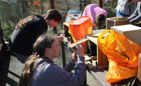 Girl building with wood.