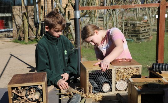Girl and Boy building together.