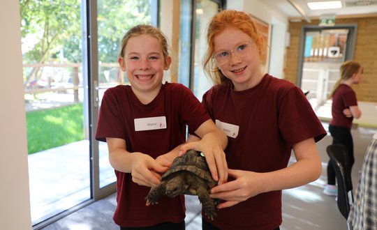 Two girls holding a tortoise.