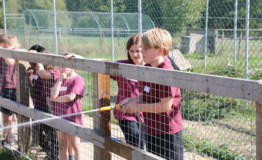 Boy watering the pig enclosure.