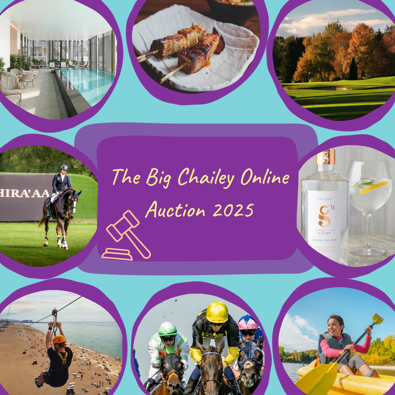 The Big Chailey Online Auction infographic