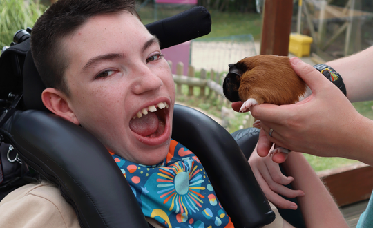 Boy happy with a Guinea pig.