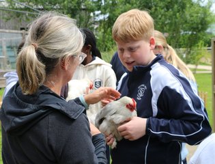 Young Boy holding a chicken on the farm.