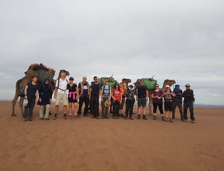 A group of people and camels in the Sahara Desert
