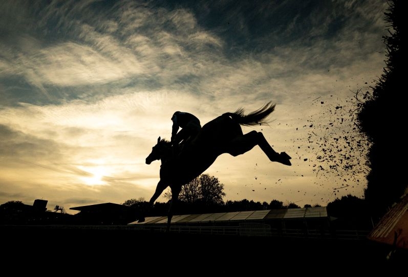 Horse jumping over jump.