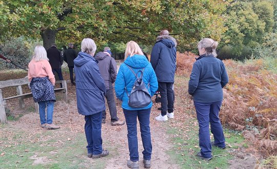 Group pf people waling in the woods.